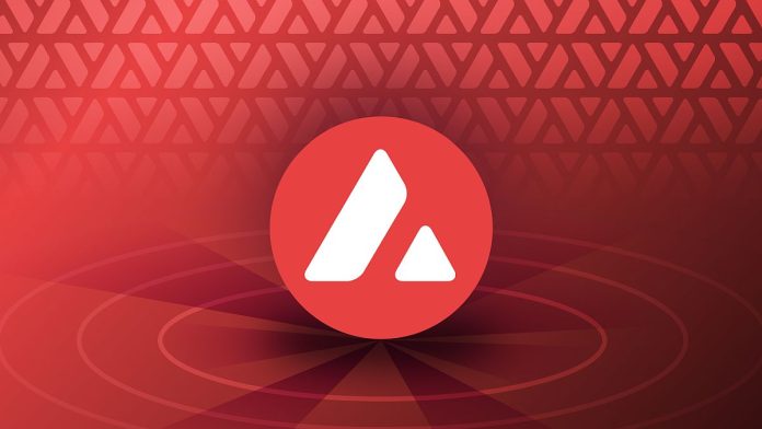Число новых контрактов в Avalanche достигло 6-месячного максимума