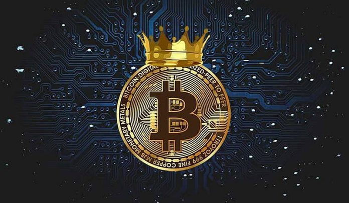 Доминирование биткоина выросло до 31-месячного максимума в 51%