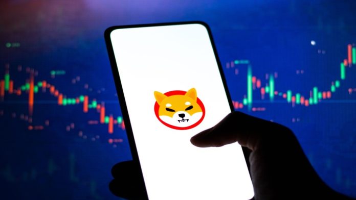 Может ли Shiba Inu (SHIB) вновь превзойти новые токены-мемы?