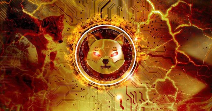 Биржа GroveX планирует добавить сеть Shibarium на свою площадку
