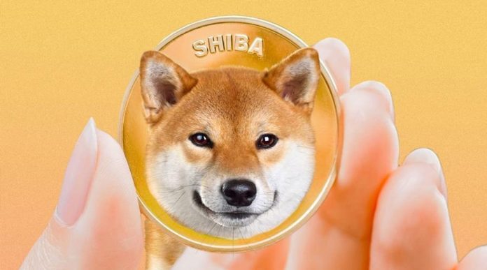 Вложения в SHIB по $100 с сентября 2020 года принесли $30,8 млн