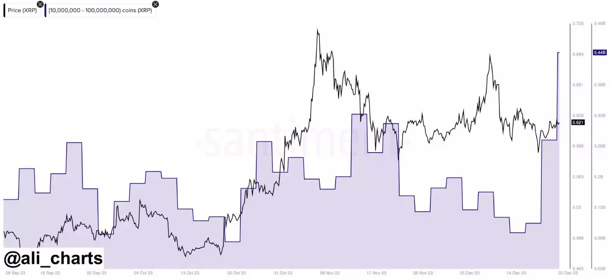 xrp-price-whales-holdings-ali