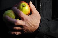 *Акция протеста фермеров и садоводов Польши прошла в Варшаве *Акция протеста фермеров и садоводов Польши прошла в Варшаве