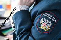 Нашивка Федеральной налоговой службы Нашивка Федеральной налоговой службы