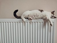 Кошка на батарее Кошка на батарее