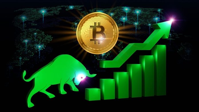 Венчурный капиталист уверен, что биткоин подорожает до $500000