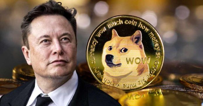 Иск против Маска и Tesla за манипулирование Dogecoin отклонили