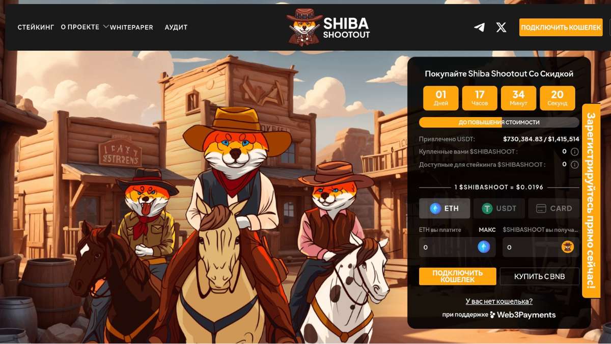 Shiba Shootout