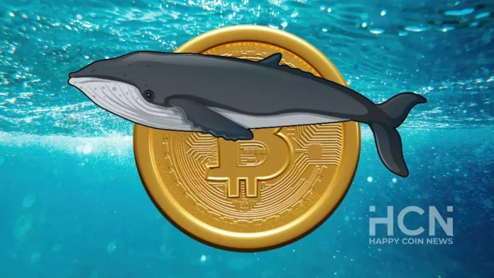 Криптокиты накапливают биткоины в период консолидации цены BTC