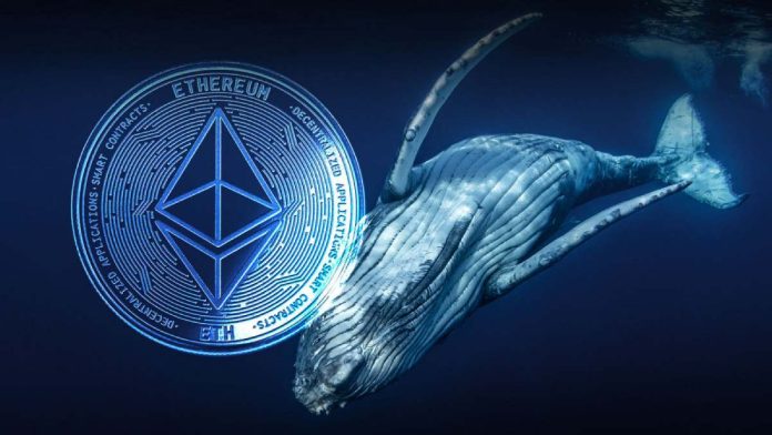 Трейдеры потеряли миллионы, а BitMine заработала, купив эфириумы