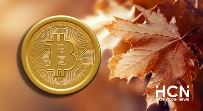 На рынке биткоина преобладает медвежий тренд, падение продолжится