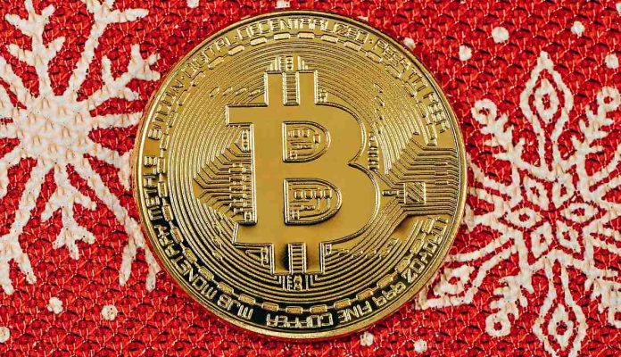 Искусственный интеллект ожидает рост биткоина к 25 декабря