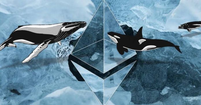 Толстосумы наращивают запасы эфириумов, пользуясь флэтом на рынке