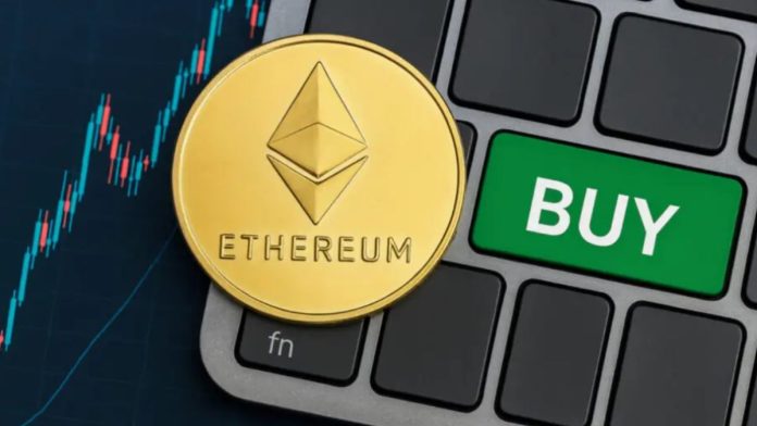 В преддверии к 2026 году фирма BitMine нарастила запас эфириумов