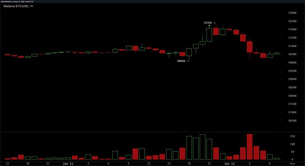 bitstamp_btc_usd-mon_12_jan_07_09_43_nwmk
