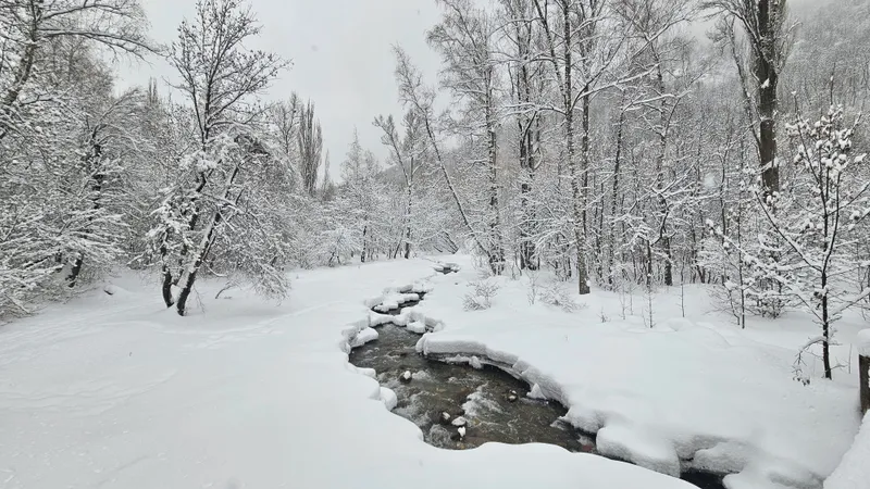 24 февраля восток Казахстана ждет мощный снежный шторм