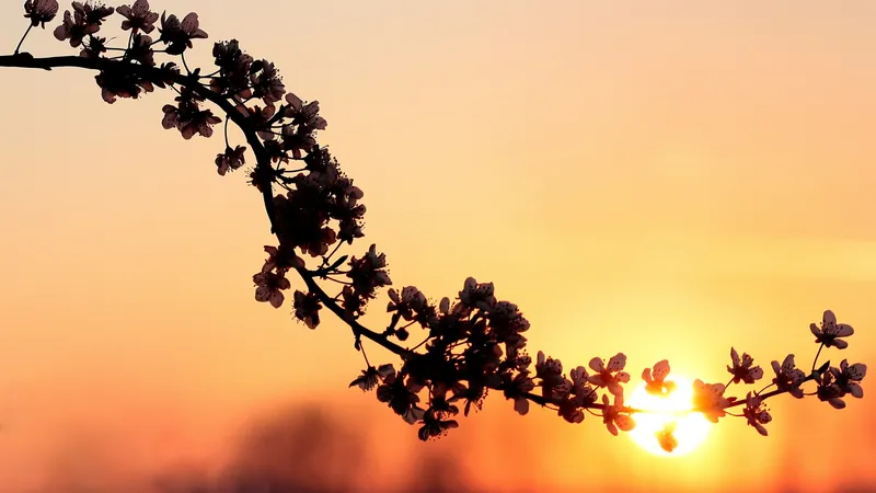 Высокая пожарная опасность и дожди с грозой: какой будет погода в Казахстане 31 марта