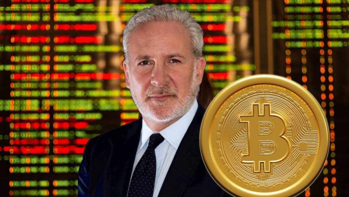 Экономист Питер Шифф предупреждает, что крах биткоина неизбежен • Happy Coin News