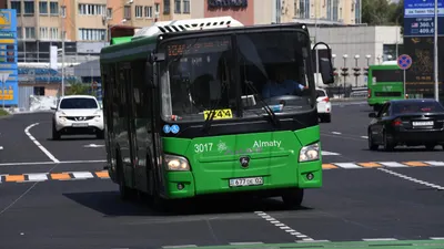 Общественный транспорт в Алматы, автобусы в Алматы