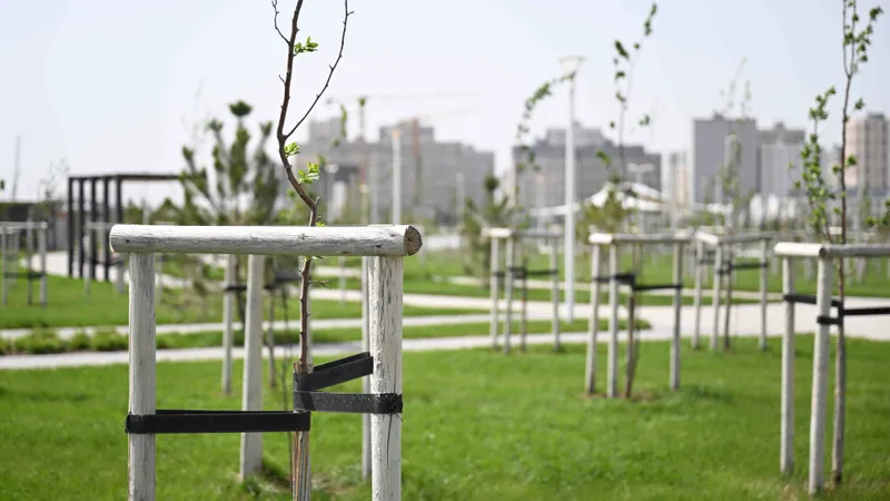 Шымкент, город Шымкент 