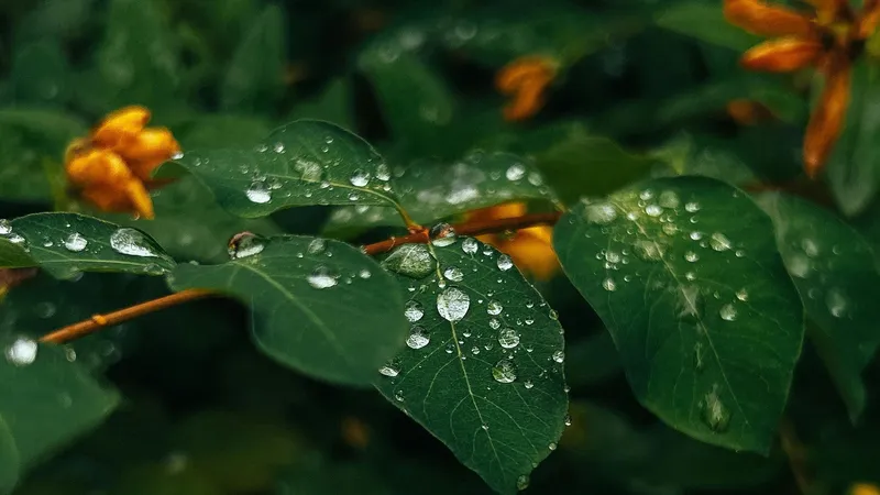 От заморозков до +32°C: Казахстан ждут резкие перепады температуры и дожди