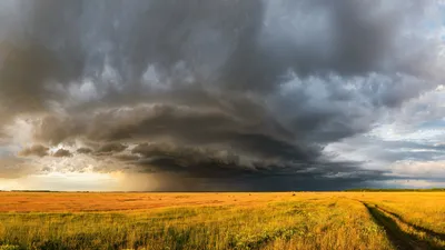 Туча, тучи, штормовое предупреждение, сильный ветер, шквал, буря
