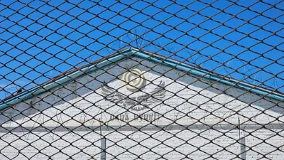 Казахстанцам спишут штрафы на 17 млрд тенге в рамках первой административной амнистии