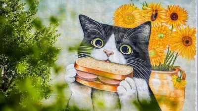 кот, цветы, мурал