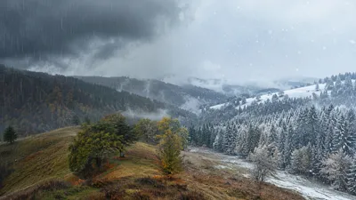 Пейзаж, осень, снег, дождь 